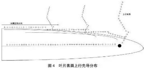 鄂电专家介绍风电叶片的雷击损坏维修及防雷改造(图5)