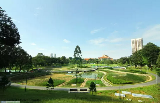 鄂电专家探讨污染场地修复技术(图1)